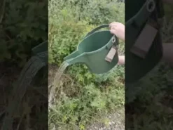 Beetle Vandkande Grøn 5L