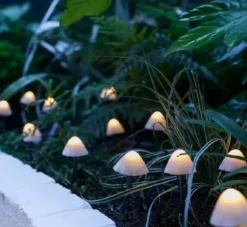 Conzept solcelle svampe 12 stk. varmhvid