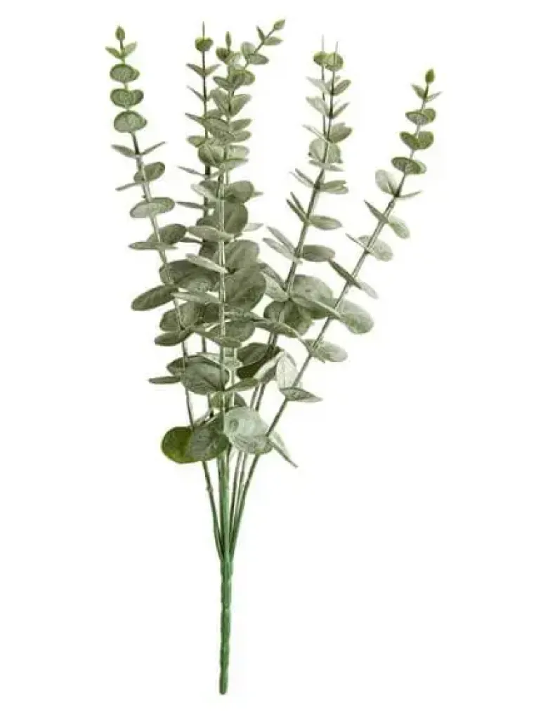 Da'core Eucalyptus buket