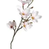 Da'core Magnolia gren 52cm pink