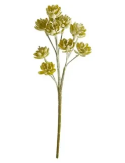 Da'core Sukkulent buket