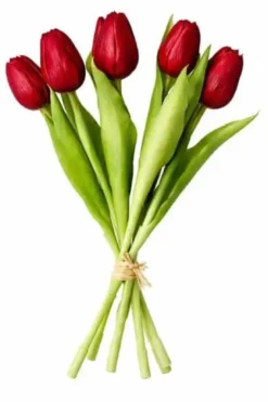 Da'core Tulipan buket 7 stk 31cm rød