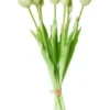 Da'core Tulipaner 7 stk. i potte 39 cm. hvid