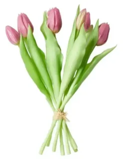 Da'core Tulipaner 7 stk. Rosa
