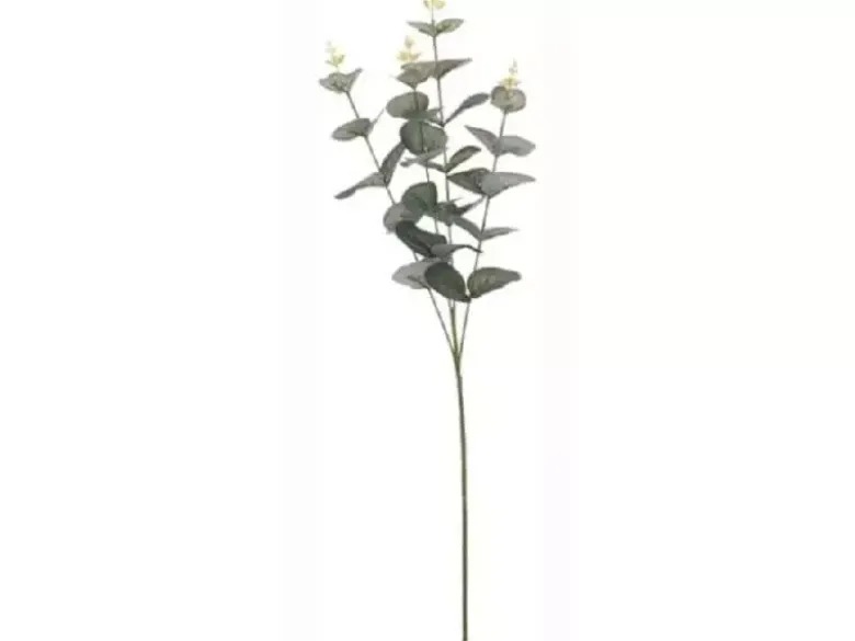 Eucalyptus gren med 4 grene 65 cm