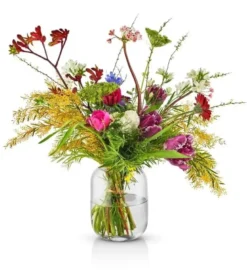 Eva Solo Acorn vase H16,5 cm klar