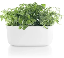 Eva Solo Selvvandende Herb organiser hvid
