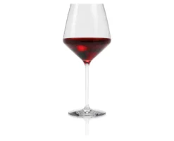 Eva Trio Legio Nova Bourgogneglas 65 cl 6 stk