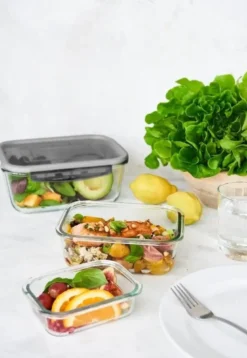 GastroMax opbevaringsboks i glas 2,7L Transparent grå