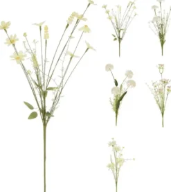 Koopman Blomst
