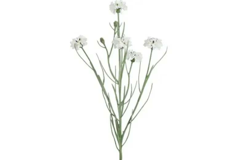 Kunstig blomst Kornblomst buket hvid