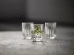 Lyngby Glas Vandglas Astrid 25 cl 6 stk.