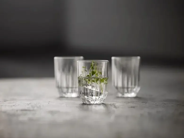 Lyngby Glas Vandglas Astrid 25 cl 6 stk.