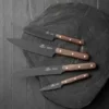 Sabatier Phenix knivsæt 4 dele