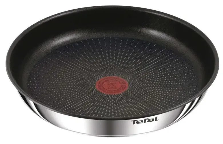 Tefal Ingenio Emotion stegepande 24 cm